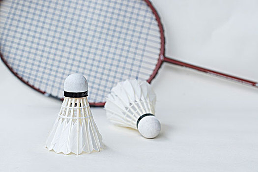 大连英博新援：用球场表现回报大家喜爱 将为所有球迷全力以赴&带来快乐